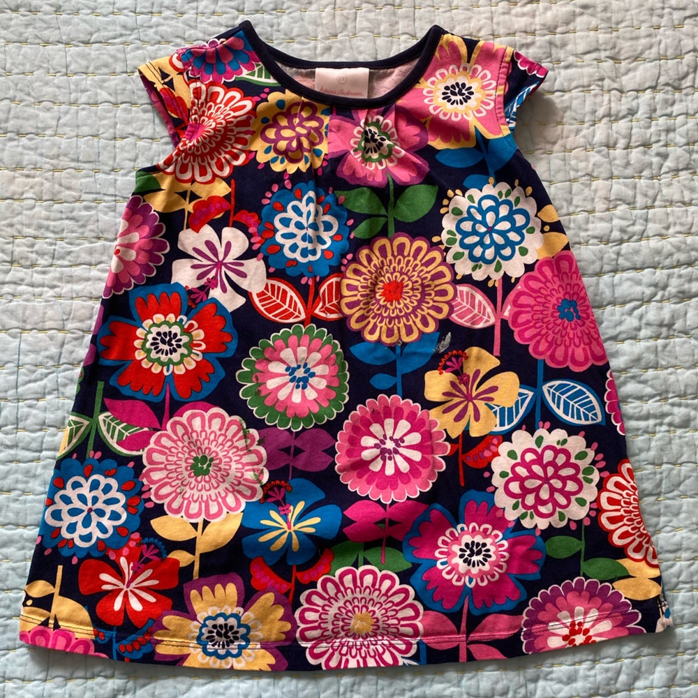 Hanna Andersson Cap sleeved Tunic Top